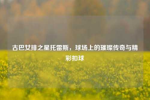 古巴女排之星托雷斯，球场上的璀璨传奇与精彩扣球