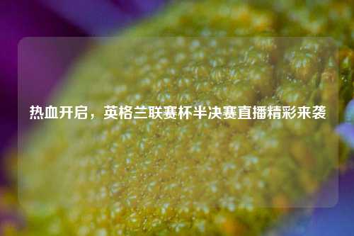 热血开启，英格兰联赛杯半决赛直播精彩来袭