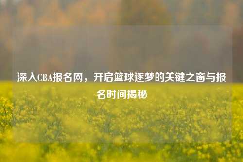 深入CBA报名网，开启篮球逐梦的关键之窗与报名时间揭秘