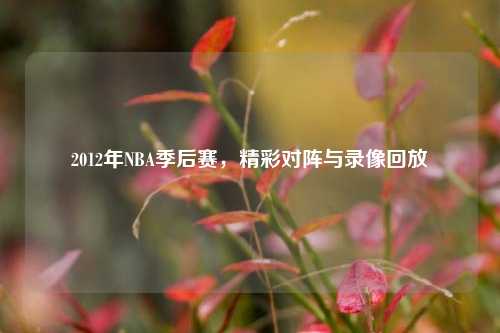 2012年NBA季后赛，精彩对阵与录像回放