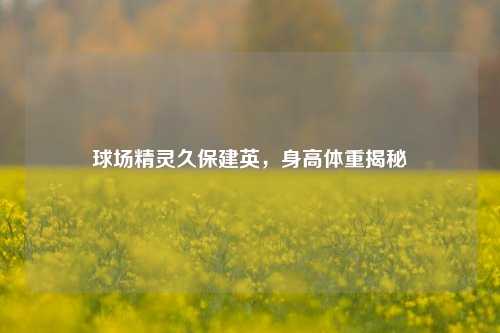 球场精灵久保建英，身高体重揭秘