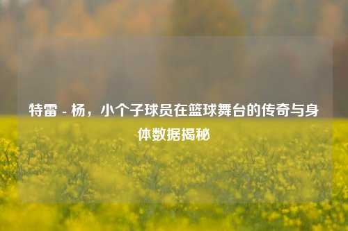 特雷 - 杨，小个子球员在篮球舞台的传奇与身体数据揭秘