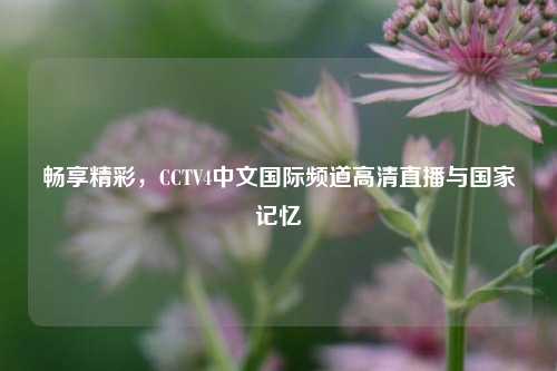 畅享精彩，CCTV4中文国际频道高清直播与国家记忆