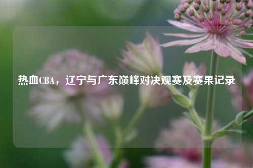 热血CBA，辽宁与广东巅峰对决观赛及赛果记录