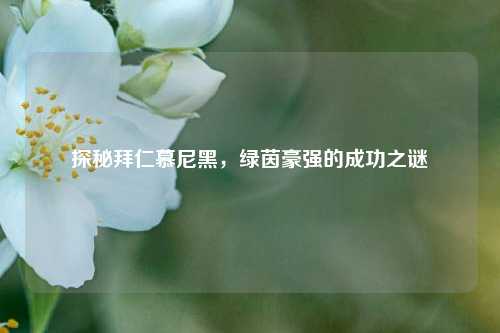 探秘拜仁慕尼黑，绿茵豪强的成功之谜