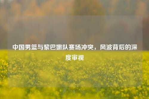 中国男篮与黎巴嫩队赛场冲突，风波背后的深度审视