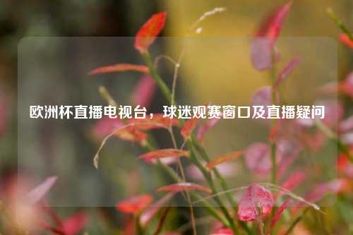 欧洲杯直播电视台，球迷观赛窗口及直播疑问