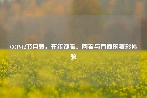 CCTV12节目表，在线观看、回看与直播的精彩体验