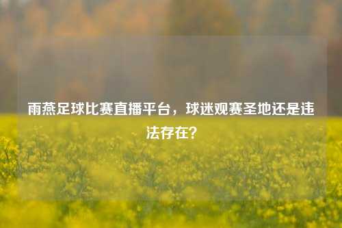 雨燕足球比赛直播平台，球迷观赛圣地还是违法存在？