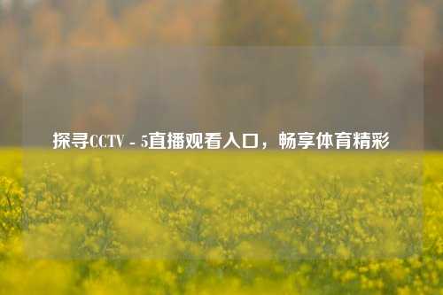 探寻CCTV - 5直播观看入口，畅享体育精彩