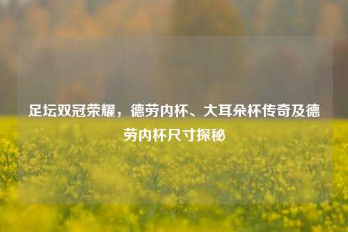 足坛双冠荣耀，德劳内杯、大耳朵杯传奇及德劳内杯尺寸探秘
