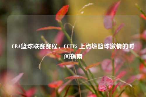 CBA篮球联赛赛程，CCTV5 上点燃篮球激情的时间指南