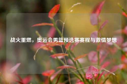 战火重燃，奥运会男篮预选赛赛程与激情梦想