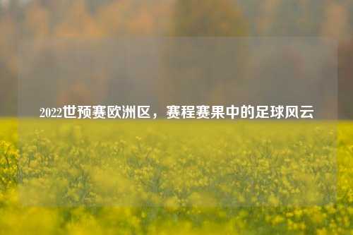 2022世预赛欧洲区，赛程赛果中的足球风云