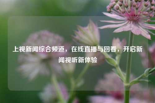 上视新闻综合频道，在线直播与回看，开启新闻视听新体验