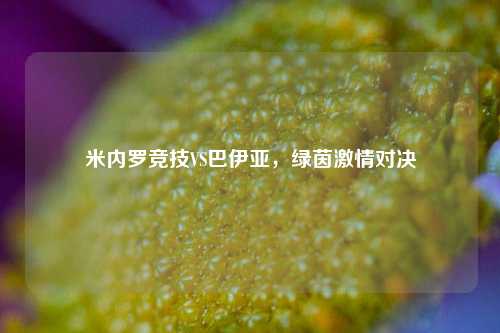 米内罗竞技VS巴伊亚，绿茵激情对决