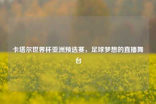卡塔尔世界杯亚洲预选赛，足球梦想的直播舞台