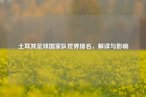 土耳其足球国家队世界排名，解读与影响