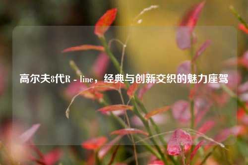 高尔夫8代R - line，经典与创新交织的魅力座驾