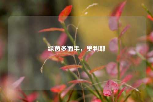 绿茵多面手，奥利耶
