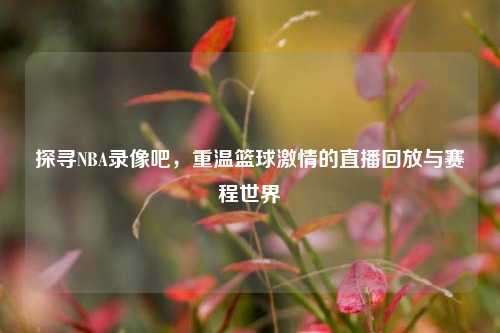 探寻NBA录像吧，重温篮球激情的直播回放与赛程世界