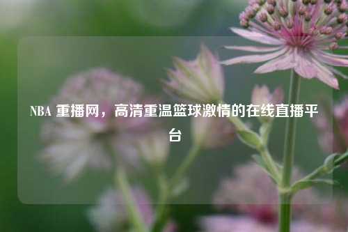 NBA 重播网，高清重温篮球激情的在线直播平台