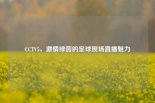 CCTV5，激情绿茵的足球现场直播魅力