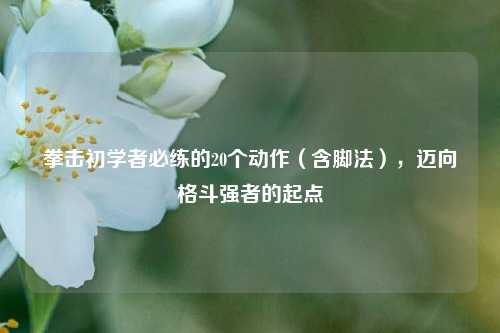 拳击初学者必练的20个动作（含脚法），迈向格斗强者的起点