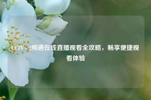 CCTV - 2频道在线直播观看全攻略，畅享便捷观看体验