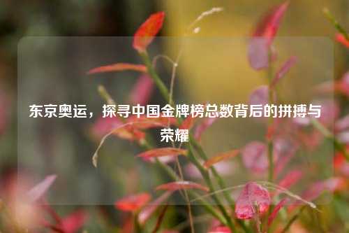 东京奥运，探寻中国金牌榜总数背后的拼搏与荣耀