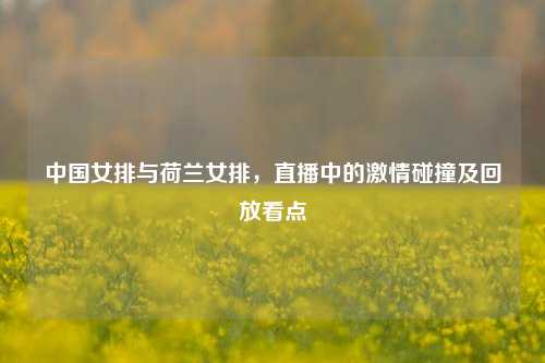 中国女排与荷兰女排，直播中的激情碰撞及回放看点
