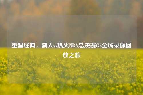 重温经典，湖人vs热火NBA总决赛G5全场录像回放之旅