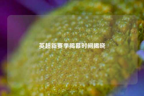 英超新赛季揭幕时间揭晓
