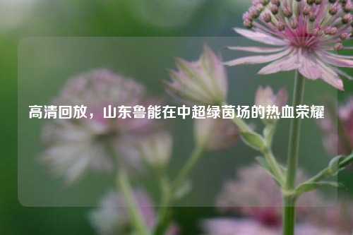 高清回放，山东鲁能在中超绿茵场的热血荣耀