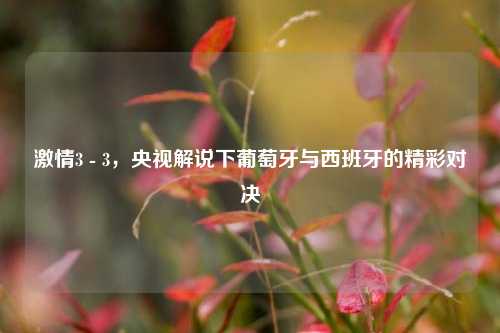 激情3 - 3，央视解说下葡萄牙与西班牙的精彩对决