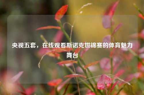 央视五套，在线观看斯诺克世锦赛的体育魅力舞台
