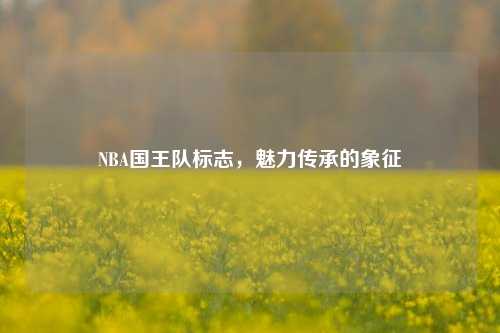 NBA国王队标志，魅力传承的象征