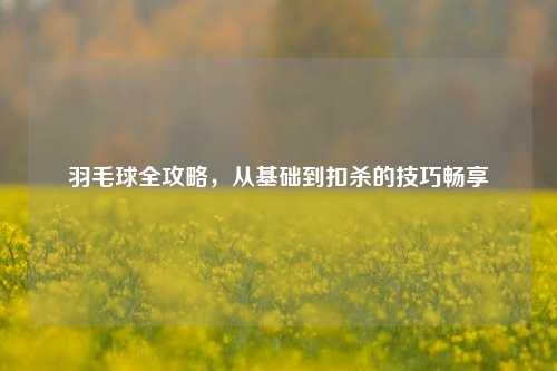 羽毛球全攻略，从基础到扣杀的技巧畅享