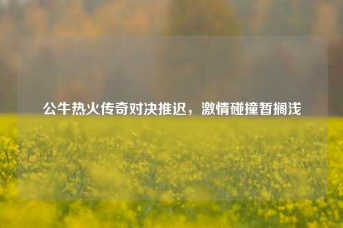 公牛热火传奇对决推迟，激情碰撞暂搁浅