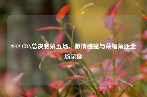 2012 CBA总决赛第五场，激情碰撞与荣耀角逐全场录像