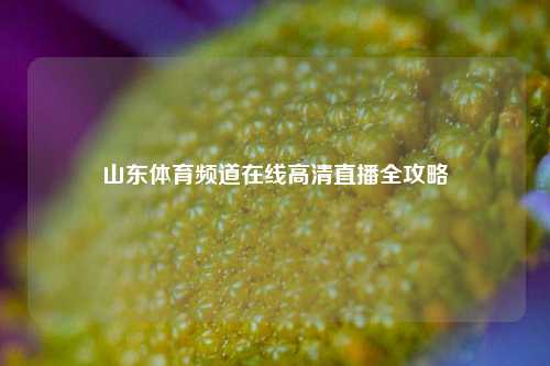 山东体育频道在线高清直播全攻略