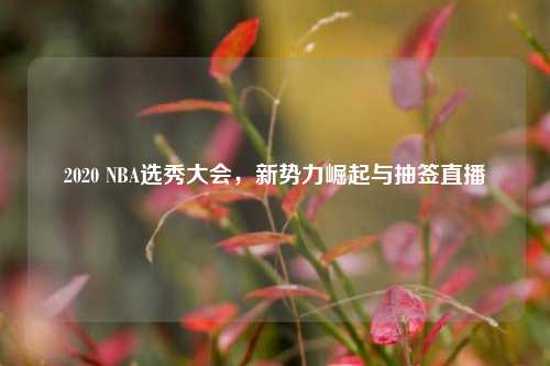 2020 NBA选秀大会，新势力崛起与抽签直播