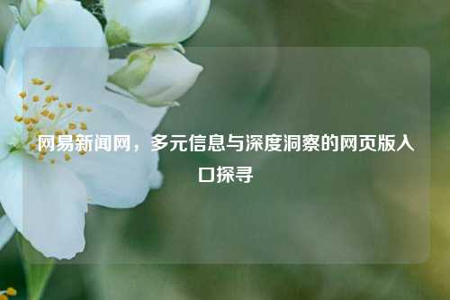 网易新闻网，多元信息与深度洞察的网页版入口探寻