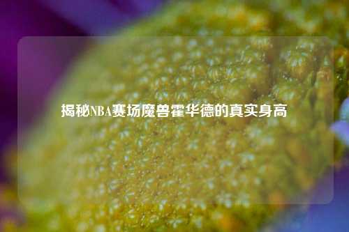 揭秘NBA赛场魔兽霍华德的真实身高