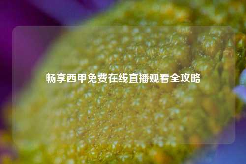 畅享西甲免费在线直播观看全攻略