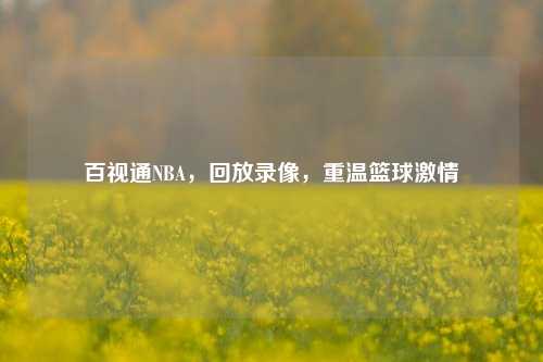 百视通NBA，回放录像，重温篮球激情