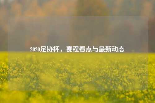 2020足协杯，赛程看点与最新动态