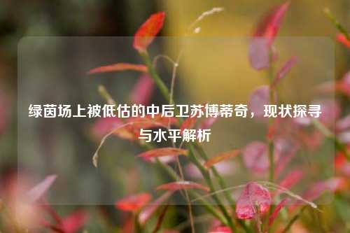 绿茵场上被低估的中后卫苏博蒂奇，现状探寻与水平解析