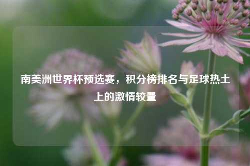 南美洲世界杯预选赛，积分榜排名与足球热土上的激情较量