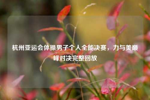 杭州亚运会体操男子个人全能决赛，力与美巅峰对决完整回放